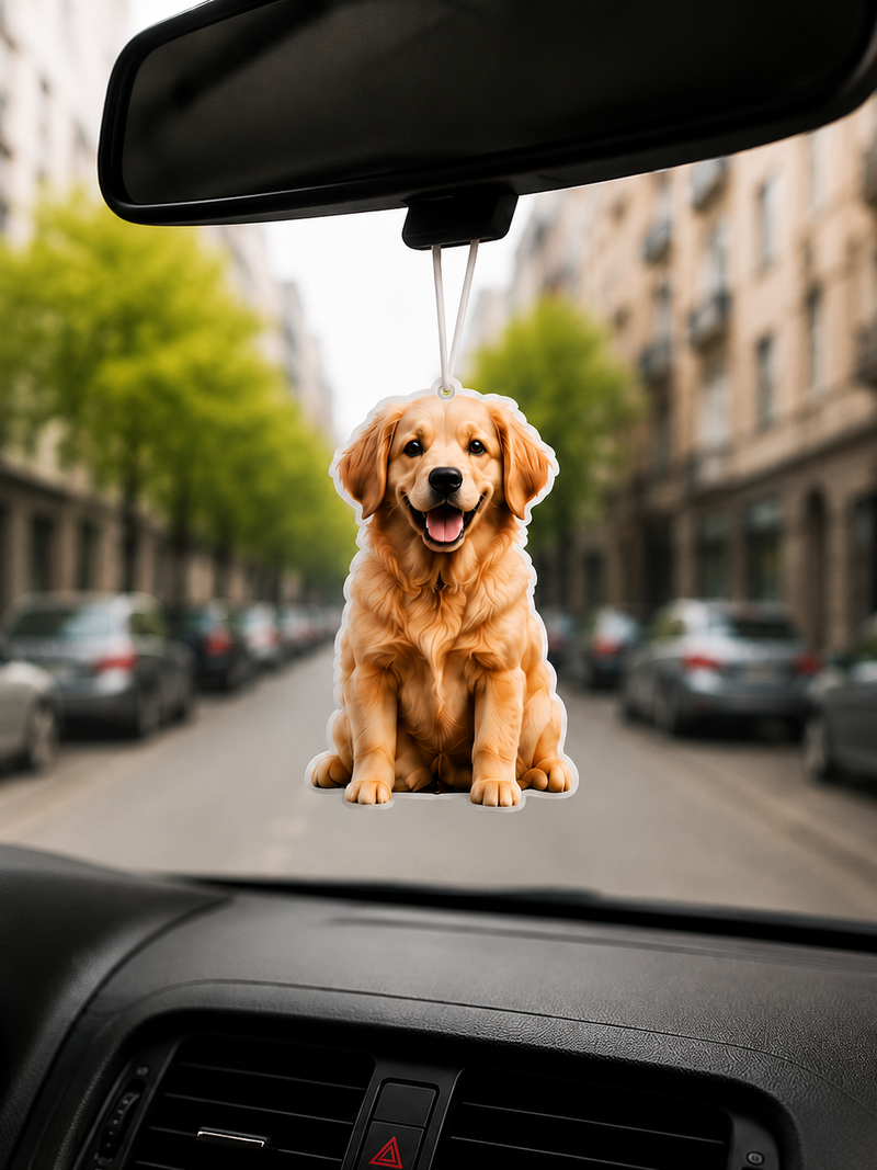Häng upp den i bilen